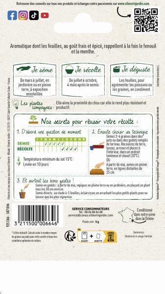 Aromatiques - Aneth Officinal - MEDIA_PACKAGING_VERSO